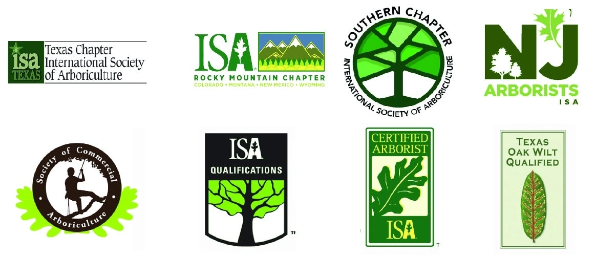 John Walters Certified Arborist Logo