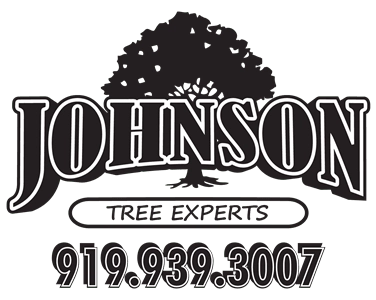 Johnson Tree Experts LLC Logo