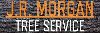 J.R. Morgan Tree Service, LLC Logo
