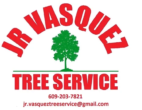 Jr Vasquez Tree Service Logo