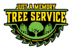 Just a Memory Removal Services LLC Logo