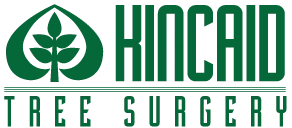 Kincaid Tree Surgery Co Logo
