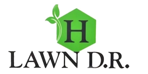 LAWN D.R LANDSCAPING AND IRRIGATION LLC Logo
