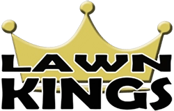 Lawn Kings - Artificial Grass Logo