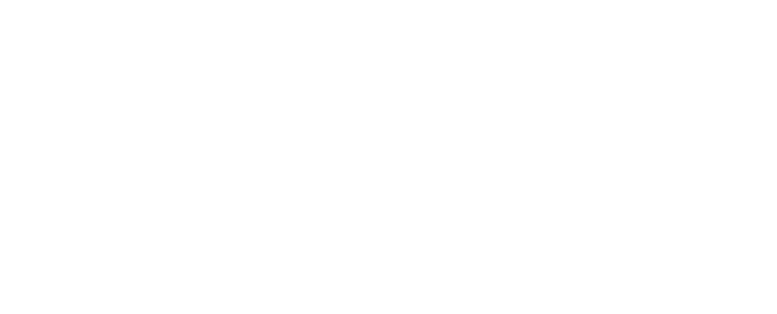 Lifestyle Group Logo