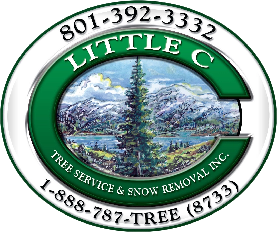 Little C Tree Service Logo