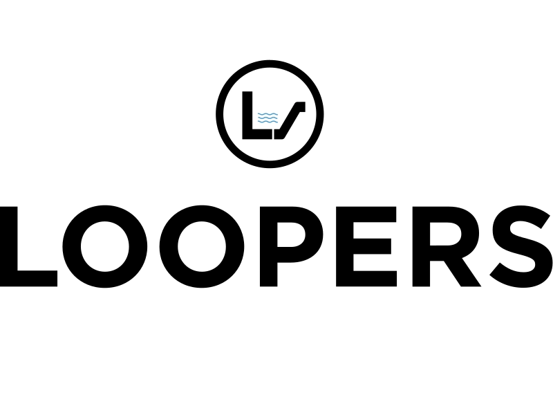 Loopers Gutter Cleaning & Repair & Installations Logo