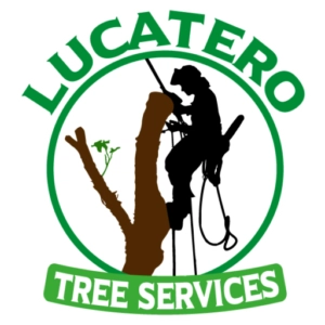 Lucatero Tree Services Logo