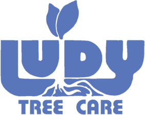 Ludy Tree Care Logo