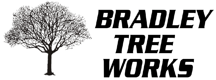 Macon Tree Service by Bradley Tree Works Logo