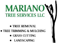 Mariano TREE SERVICES Logo