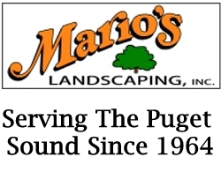 Mario's Landscaping Inc Logo