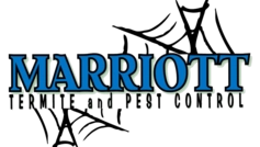 Marriott Termite and Pest Control Logo