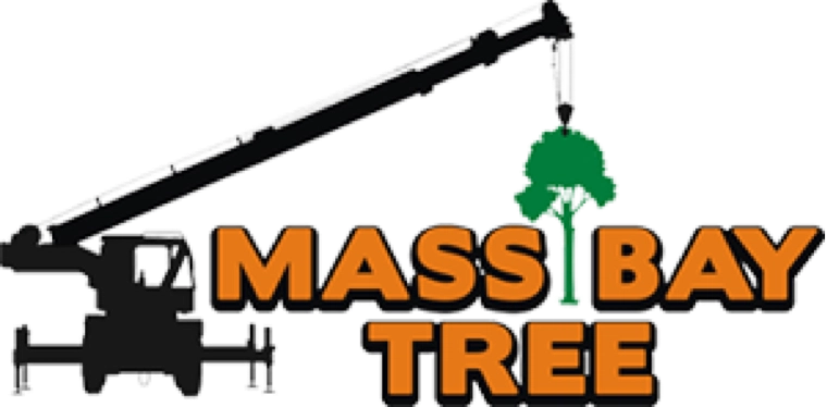 Mass Bay Tree Service Inc Logo