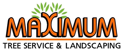 Maximum Tree Service Logo