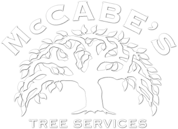 McCabe's Tree Services Logo