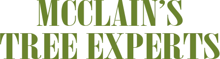 McClain's Tree Experts Logo