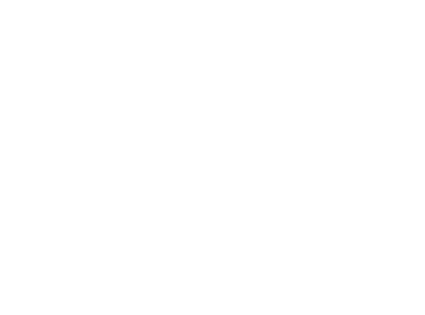McNally Plumbing LLC Logo