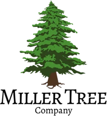 Miller Tree Company Logo