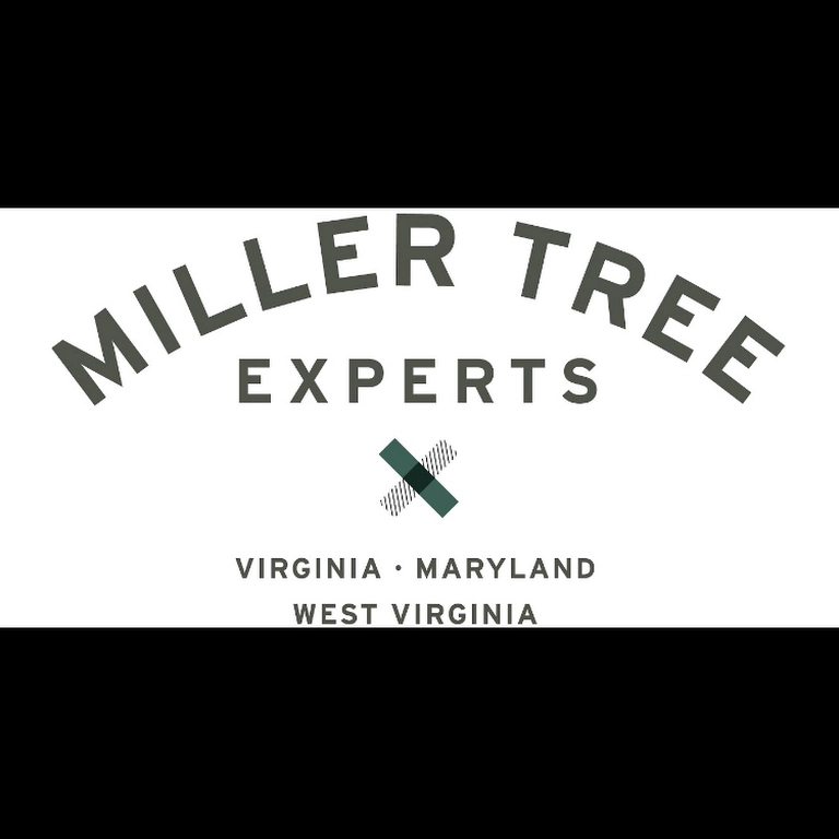 Miller Tree Experts LLC Logo