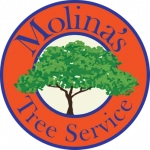 Molina's Tree Service & Landscaping LLC Logo