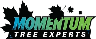 Momentum Tree Experts Logo