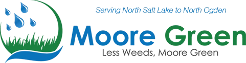 Moore Green Logo