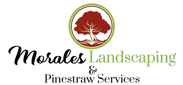 Morales Landscaping And Pine Straw Service Logo