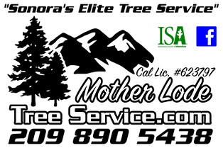 Mother Lode Tree Service Logo