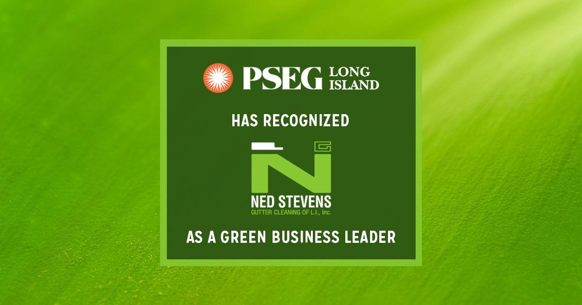 Ned Stevens Gutter Cleaning of Long Island Logo