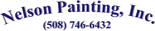 Nelson Painting Logo