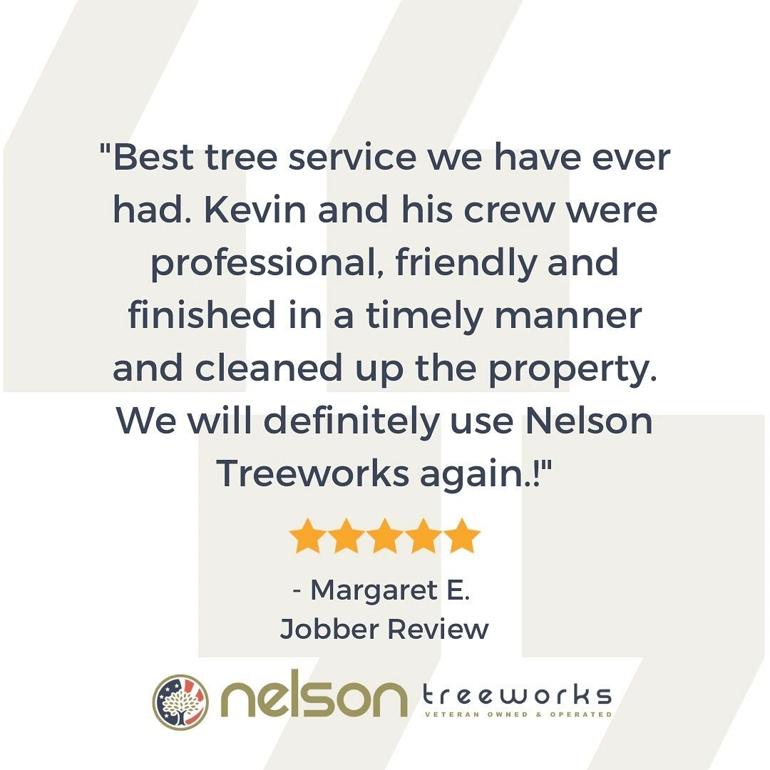 Nelson TreeWorks Logo