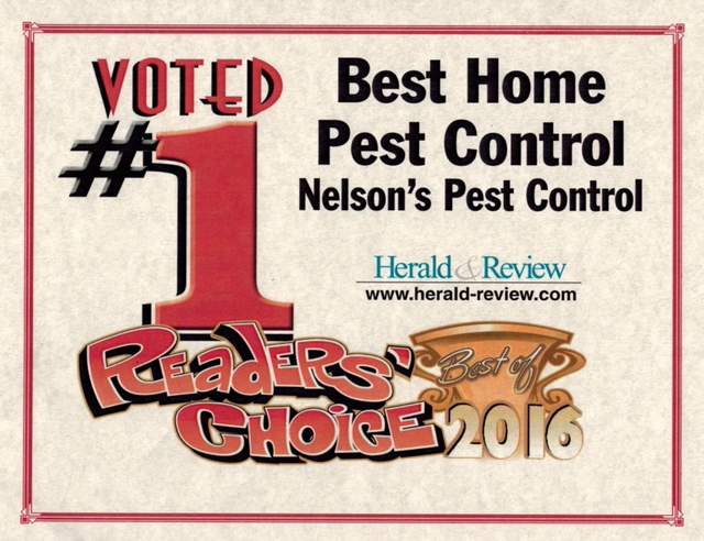 Nelson's Termite & Pest Control Logo