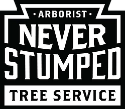 Never Stumped Tree Service LLC Logo