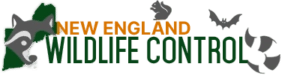 New England Wildlife Control Logo
