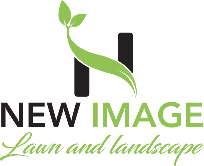 New Image Lawn and Landscape Logo