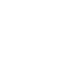 Noah's Ark Roofing Logo