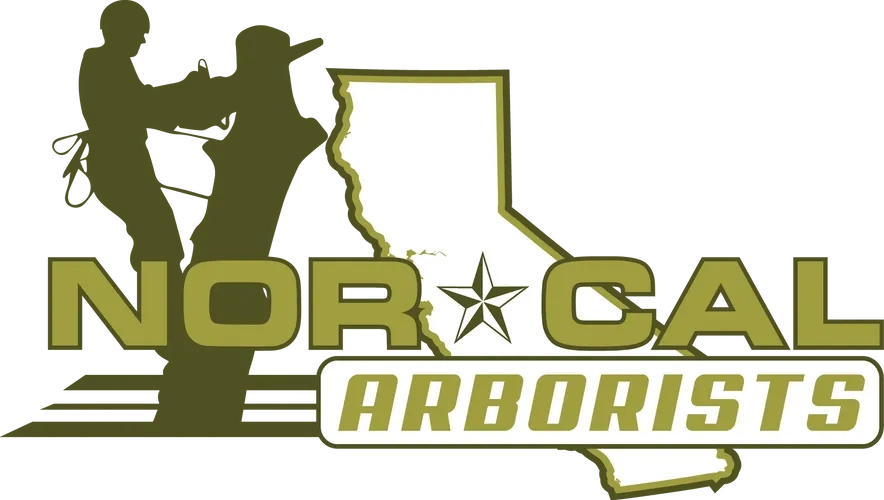Norcal Arborists Inc. Logo