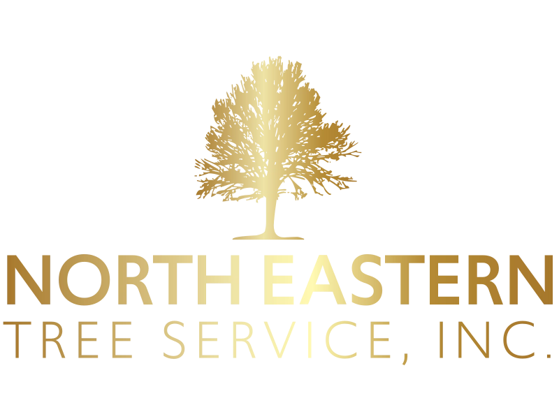 North Eastern Tree Service Logo