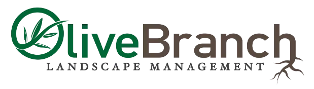 Olive Branch Landscape Management Logo