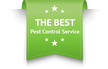 On The Fly Pest Solutions Logo