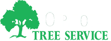 Orion Tree Services Logo