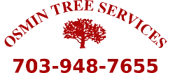 Osmin Tree Services Logo