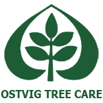 Ostvig Tree Care Logo