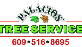 Palacios Tree Service Logo