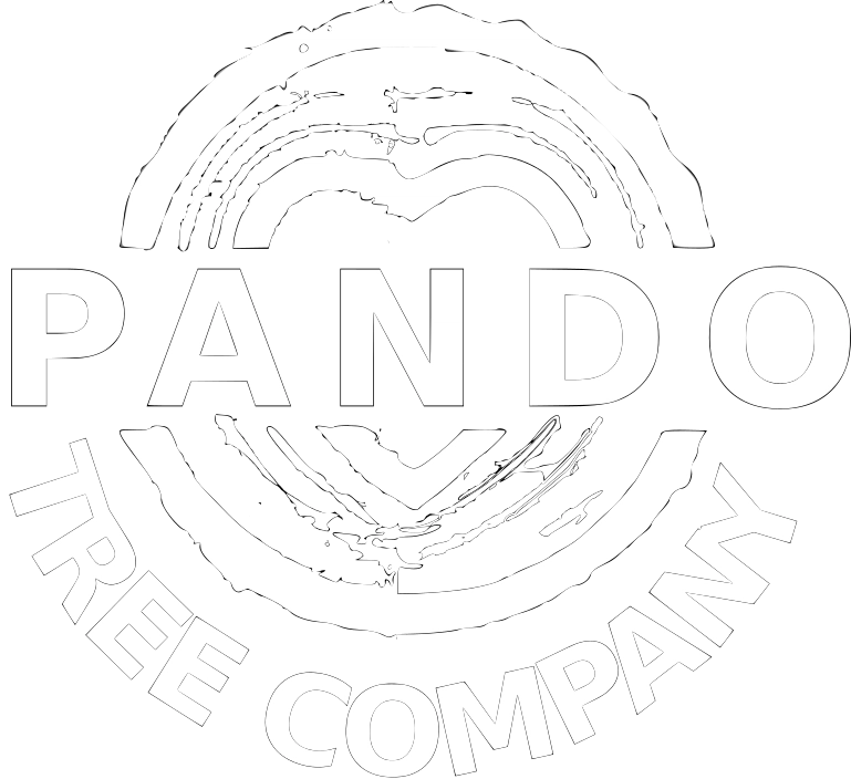 Pando Tree Company Logo