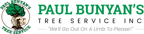 Paul Bunyan's Tree Service Inc Logo