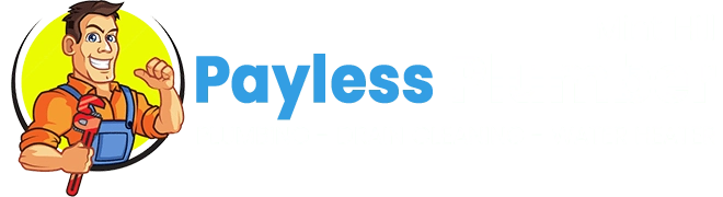 Payless Plumber Mint Hill NC Logo