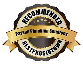Payson Plumbing Solutions Logo
