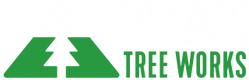 Peak Tree Works Logo